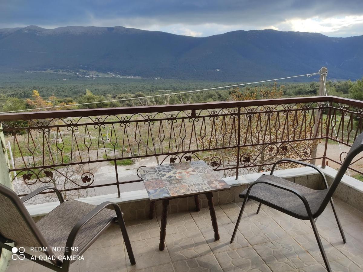 Hotel Xenonas Κithαiron à Vília Extérieur photo