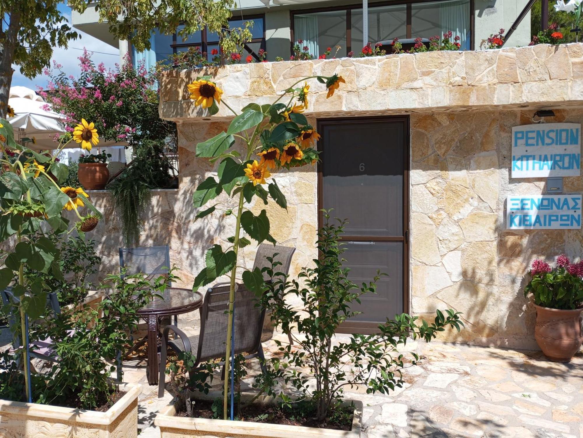 Hotel Xenonas Κithαiron à Vília Extérieur photo