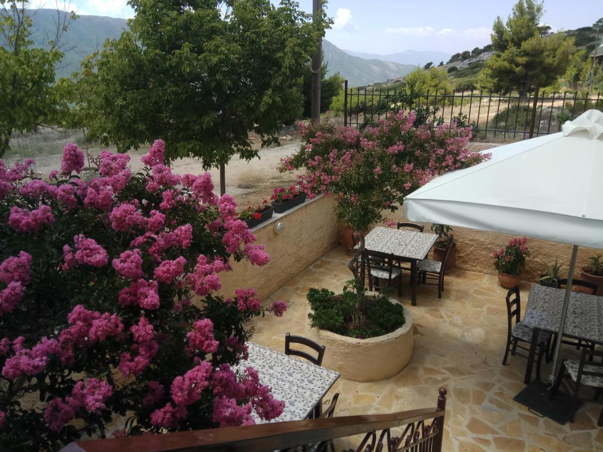 Hotel Xenonas Κithαiron à Vília Extérieur photo