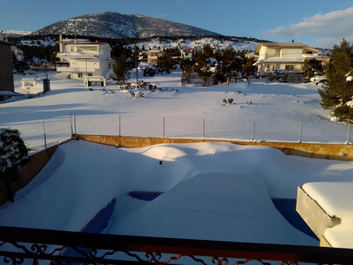 Hotel Xenonas Κithαiron à Vília Extérieur photo